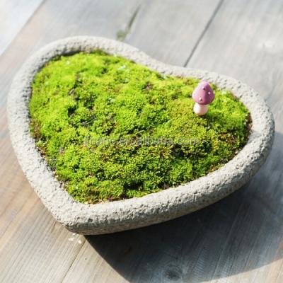 China Europe Creative Fleshy Flower Pots Cement Heart Shape Decorative Planter for sale