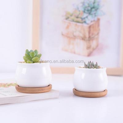 China 3 Inch Small Modern Indoor Plant White Ceramic Pots With Tray for sale