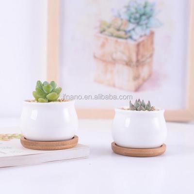 China Modern 3 Inch Small Round White Ceramic Succulent Pots With Bamboo Tray for sale