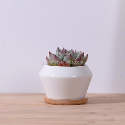 China New Design Eco-friendly Small 3 Inch Indoor White Ceramic Planter With Bamboo Saucer for sale