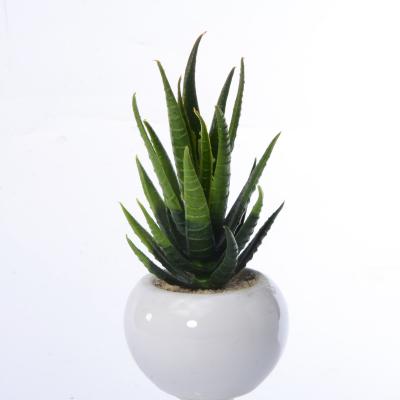 China Realistic Plastic Succulent Artificial Aloe Bonsai Plants Christmas Indoor Decoration Small for sale