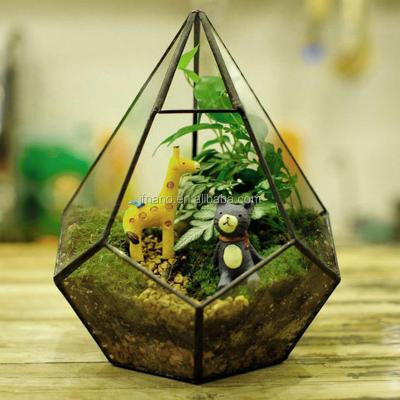 China Wholesale Hot Selling Clear Geometric Mini Greenhouse Durable for sale