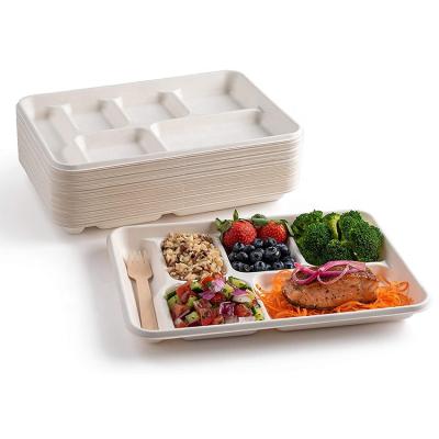 China Food Contact Safe Disposable Compartment Containers Bagasse Food Take Out Tray With Lid for sale