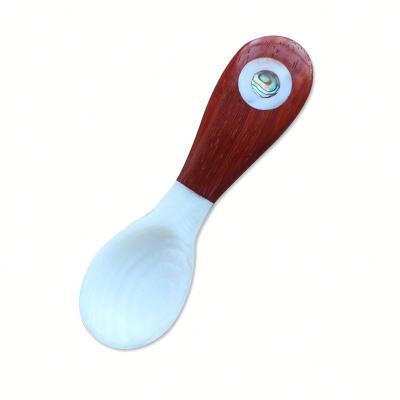 China Disposable Shell Mini Spoon Disposable Dinner Hotel Restaurant Russia Caviar Pearly Spoon for sale