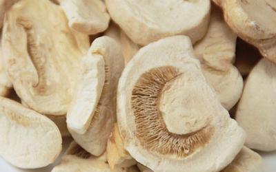 China Natürliche gesunde gefriertrocknete Nahrungsmittelpilzartige Pilz-Agaricus-Gefriertrocknungs-Scheibe zu verkaufen