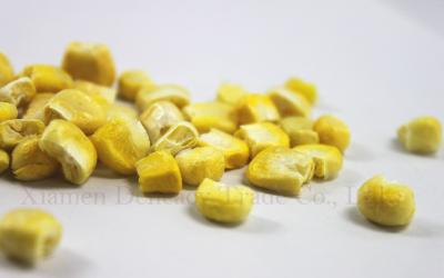 中国 バックパッキング 食糧によって凍結乾燥させている野菜のバルク トウモロコシの穀粒の自然な凍結乾燥させていた Corns 販売のため