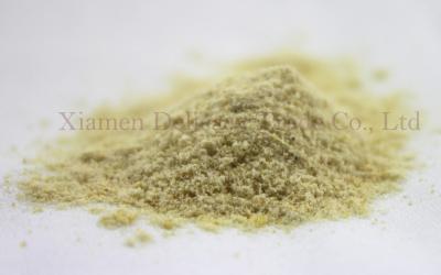 China Freeze Dried Mango Fruit Powder for sale