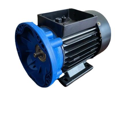 China Manufacturers Direct AC Urea Pump Custom Motor Totally Enclosed for sale