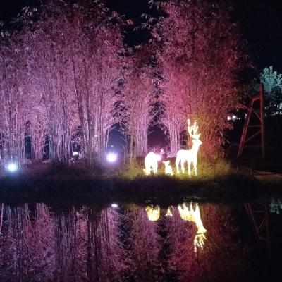 China Modern OEM Customize Conghua Cherry Garden Traditional Digital Control Style Led Lazer Light Water Show for sale