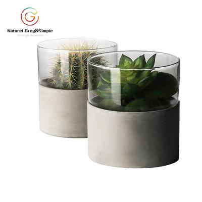 China Minimalist Household Table Ornaments Garden Concrete Pot Transparent Glass Flowerpot for sale