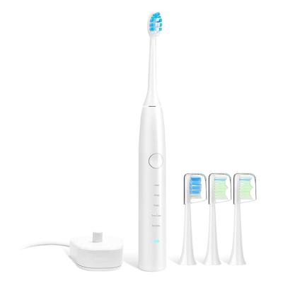 China Home\Hotel\Travel Smart Automatic Toothbrush Sonic Electric Toothbrush Usb Charging Factory Price for sale