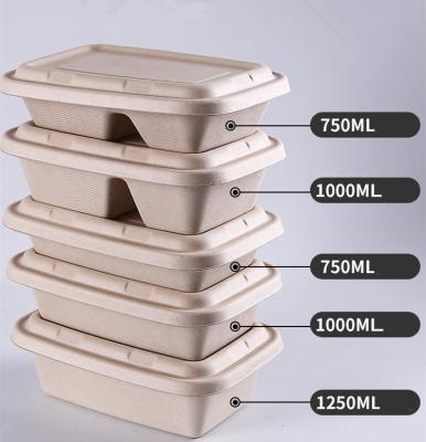 China 900ml Cell 100% Wheat Straw Fiber Pulp Biodegradable Compostable Food Container for sale