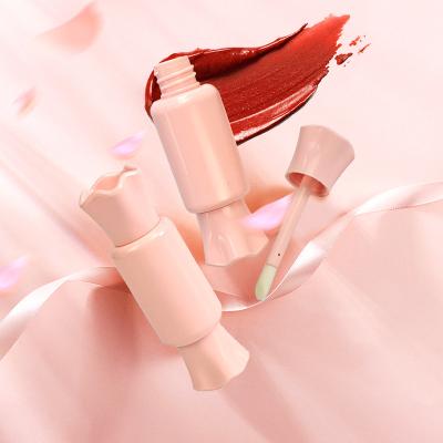 China New Cosmetic Wholesale Custom Logo Lip Gloss Packaging Bottle Lip Gloss Tubes With Magic Wands for sale