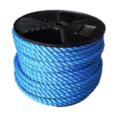 China Blue PP Film Rope PP Twisted Seil Rope For German With Plastics Tube 10mm for sale