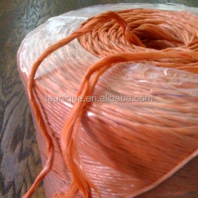 China Heavy Duty 100% PP Sisal Raffia Baler Twine, Tomato Twine, Banana Twine for sale