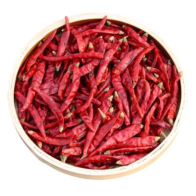 China 2021 New Cultured Chaotian Chili Powder Hot Dried Red Pure Hot Dried BBQ Chili Powder BBQ Powder For Hotpot Dip for sale