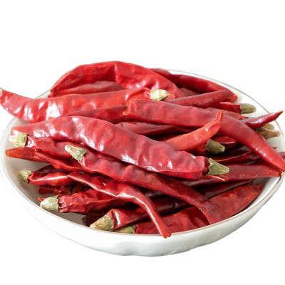 China Best price wholesale factory direct sale dried dried red chili peppers red pepper whole chili pepper ground chilli for sale