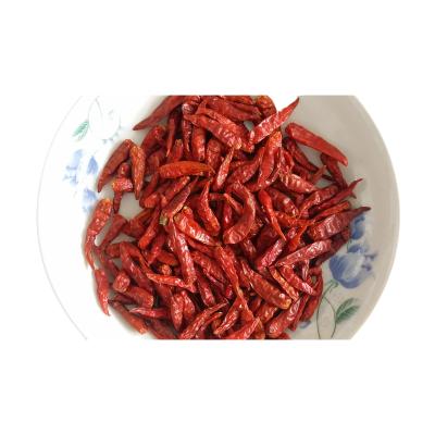 China With or without 2021 best new stalk crop sale with good quality dry organic dry chilli peppers ground chillies for sale