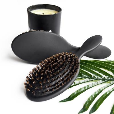 China Nondisposable Customize Logo Black Plastic Handle With 100% Boar Hair Massage Scalp Paddle Hair Brush for sale