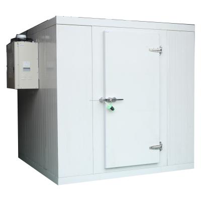 China Air Cooling Cold room refrigeration unit cold rooms for sale in south Africa Single Door Te koop