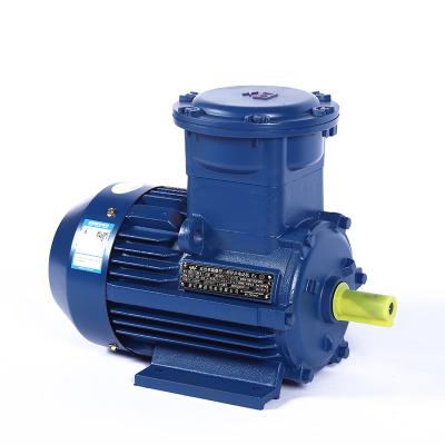 China Manufacturer's direct sales YBX3 (BT4) series 6-pole flame-proof three-phase asynchronous motor 220V50Hz explosion-proof motor YBX3(BT4) for sale