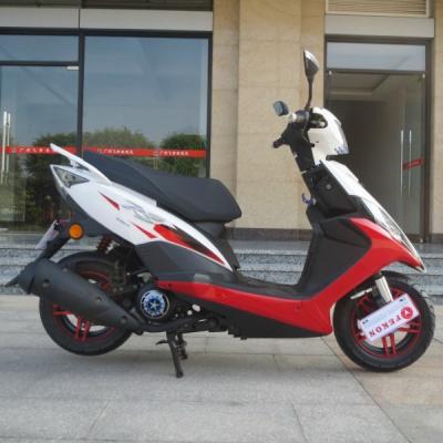 China 110cc Fekon Mini Scooter For Sale Scooter Motorcycle Motorbike 106kg FEKON Te koop