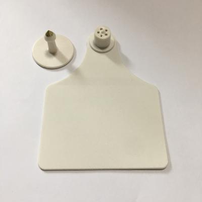 China Farms USA XL Size White Cow Ear Tag en venta