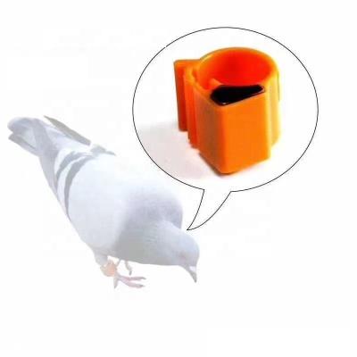 China Hot Sales Bird RFID Pigeon Ring Tag For Bird Racing for sale