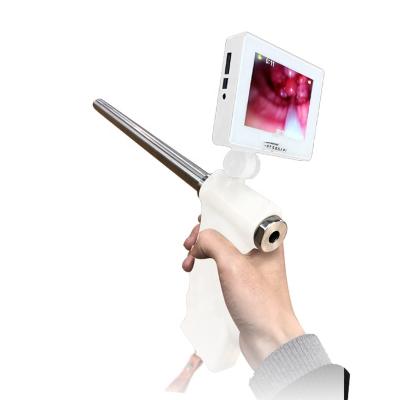 Chine Veterinary Top Selling Sheep Detector Insemination Gun Obvious Insemination Gun, Digital Artificial Inseminator For Canine Sheep Detector à vendre