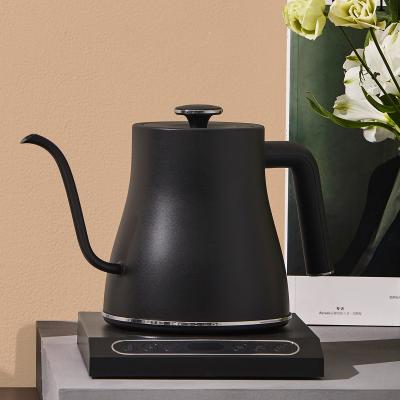 China Best-selling 360 degree rotation bottom in Europe 0.8L black kettle temperature control electric kettle gooseneck for sale