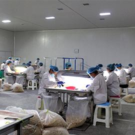 Verified China supplier - Shandong Xinnuo Food Technology Co., Ltd.