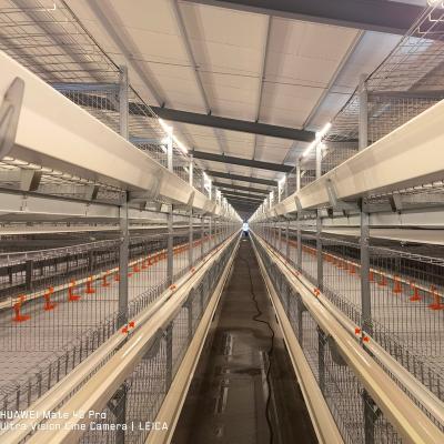 China Full Automatic Harvesting System Broiler Battery Cage H Type Cage For Broiler Farm Equipment For Chicken House for sale