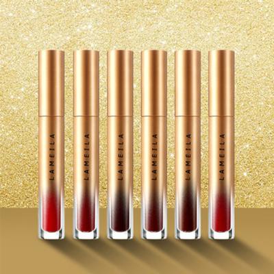 China OEM Vegan Logo Liquid Lipstick Private Label Wholesale Custom Waterproof Luxury Liquid Lipstick Foundation for sale