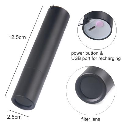 China 2020 USB High Power 5W Powerbank Portable UV Light Filter Rechargeable 365 Hot Selling UV Flashlight Amazon Amazon for sale