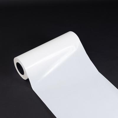 Cina High-Performance 0.05-0.15mm PES Hot Melt Adhesive Film for Strong Adhesion in vendita