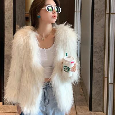 China Factory direct wholesale fur coats cheap mink fur coats windproof 2021 fur coats for sale