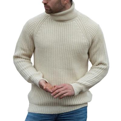 China Anti-Wrinkle Fashion Classic Autumn Winter Men Sweater Solid Color Turtle Neck Basic Knitted Sweaters For Man for sale