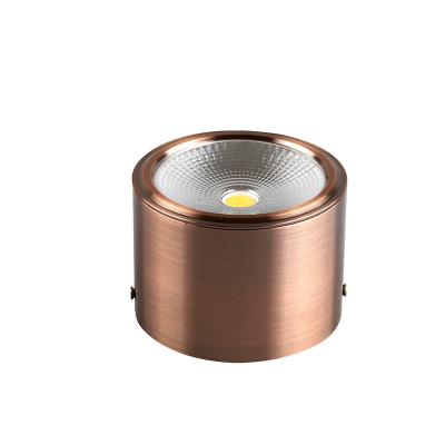 China Surface Mounted Wholesale Cheap Restaurant Outdoor Mounted LED Downlight High Quality Outdoor Hotel Store Downlight for sale