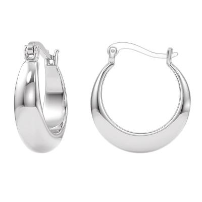 China Tasty Stainless Steel Hoop Earrings Small Chunky Minimalist Vintage Open Fashion CLASSIC Hoop Earrings For Women Perfect For Daily Wear for sale