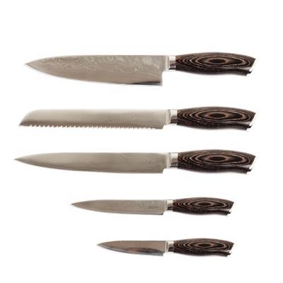 China High Quality Disposable Damascus Stainless Steel Kitchen Knife Set for sale