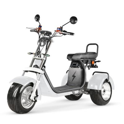 China EU Warehouse EEC COC 3 Wheel Unisex Electric Bike Tricycle Amoto 1500-2000w Electric Scooter For Adult for sale