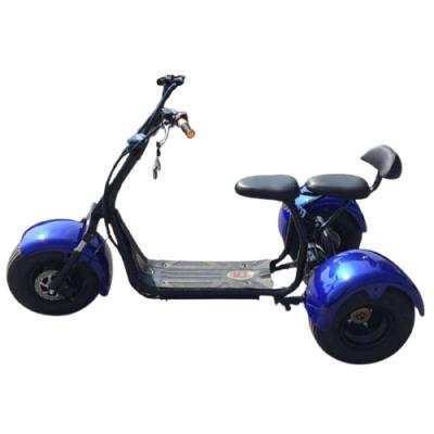 China This Amoto unisex electric tricycle 500w motor 3 wheel tricycle differiential for adult passenger and cargo carrier for sale