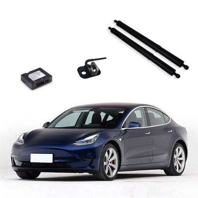 China Car Intelligent Smart Electric Hidden Handles For Tesla Model 3 Auto Door Panel for sale