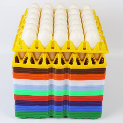 China Transport Supermarket Plastic Chicken Egg Tray for sale