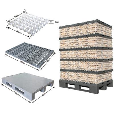 China Farm bulk many plastic egg transport pallets egg carrier for foldable crate egg crate for sale