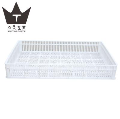 China Farms Food Grade Incubator Hatching Basket Setter Hatcher Tray for sale