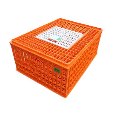 China Wholesale Farms Poultry Chicken Goose Turkey Goose Equipment Plastic Transport Cage 75x55x33cm For Broiler Farm for sale