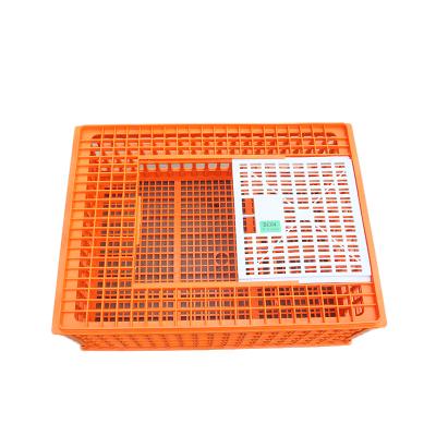 China Wholesale Poultry Farms 75x55x29.5cm Chicken Quail Dipped Plastic Equipment Transport Cage For Broiler Farm for sale