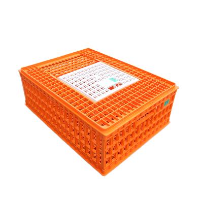 China Wholesale poultry farms 75x55x27cm live chicken quail duck dove equipment transport plastic cage for broiler farm for sale