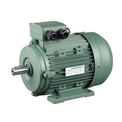 China IE4 High Efficiency Aluminum Three Phase Induction Electric Totally Enclosed AC Motor for sale